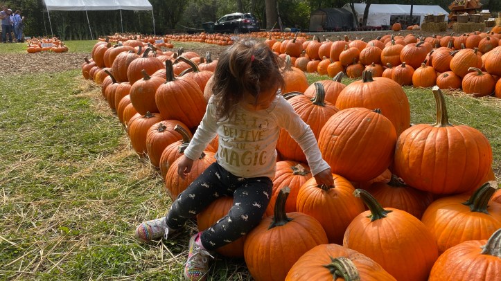 A373A242-9707-4274-A295-4D1FFADC3325